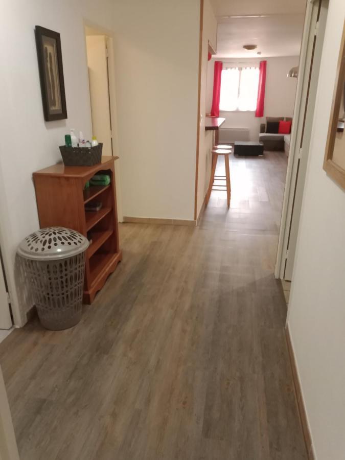 Ferienwohnung Superbe T3 De 85 Metres Carres Toulouse Exterior foto